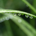 カウンセラーとして副業で活躍していくためのコツ