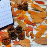 忘年会の意味や由来は？盛り上げるためのアイデアも合わせて紹介！