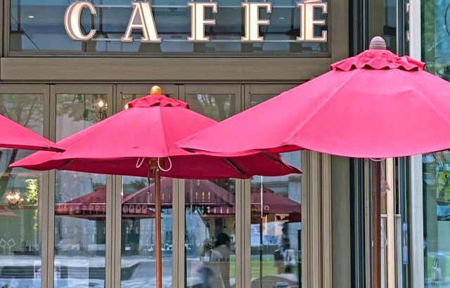 外食産業が陥る人手不足の原因とは？飲食業界が乗り切る対策法も