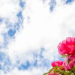 【3rd Room ライター紹介】三森