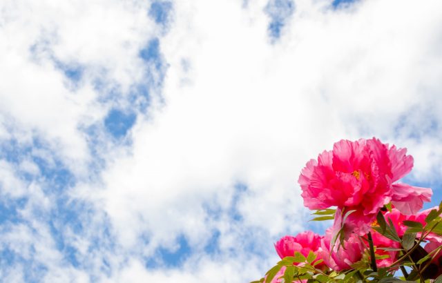 【3rd Room ライター紹介】三森